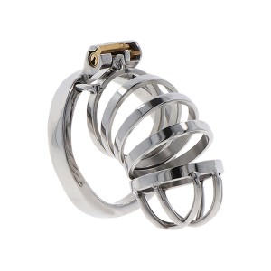 HIDDEN DESIRE  Äärmiselt KASUTUSLIK KUPE PUURI METAL